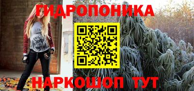 прущие грибы Славгород