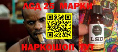 прущие грибы Славгород