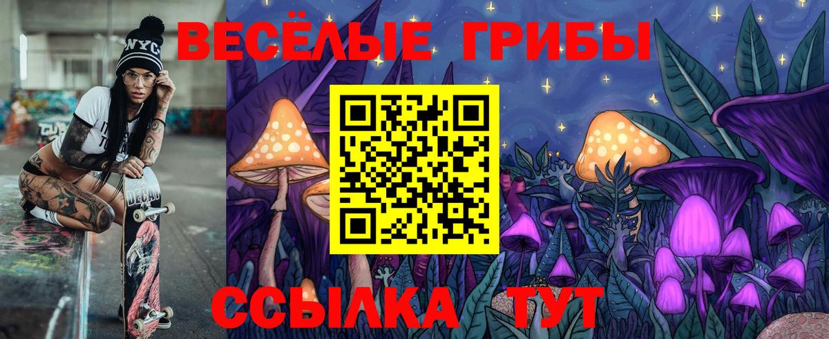 Псилоцибиновые грибы Cubensis Павловский Посад